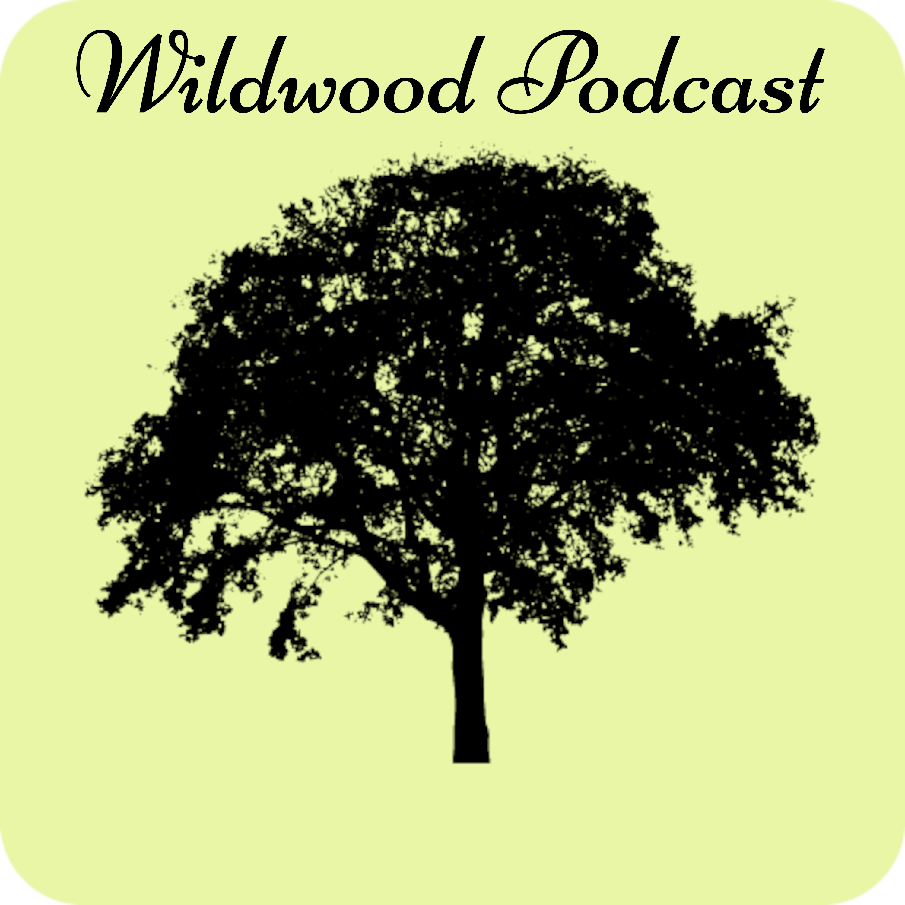 Wildwood Assembly Podcast podcast artwork