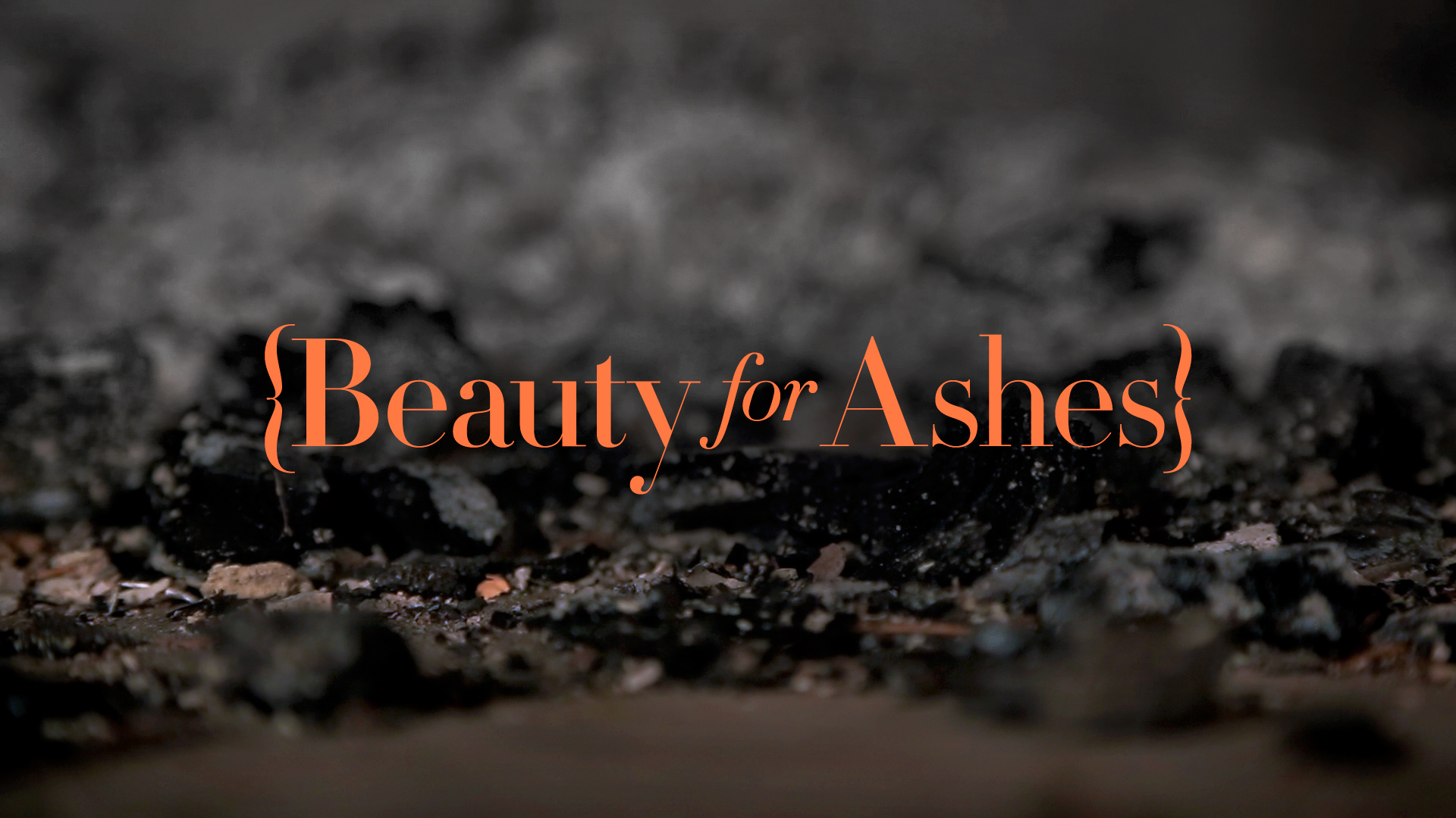 Featured image of post Beauty for Ashes