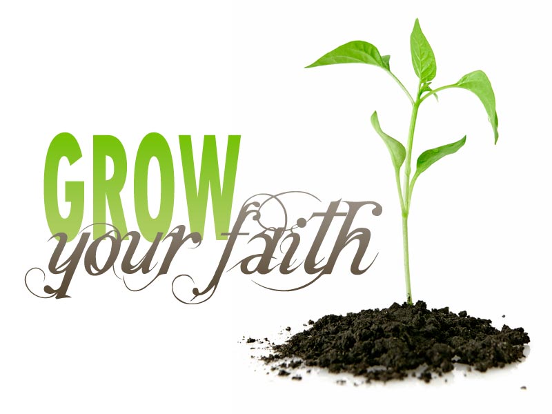 Featured image of post Growing in Faith